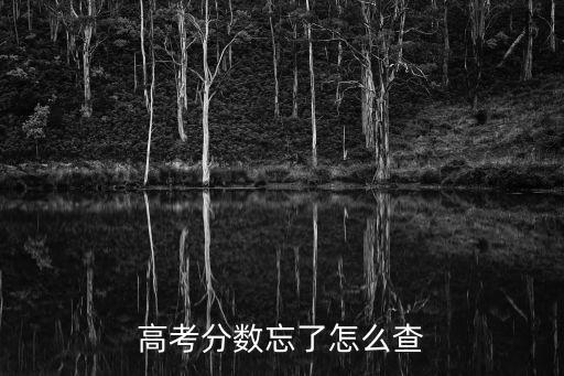 怎么查高考分數，高考分數忘了怎么查