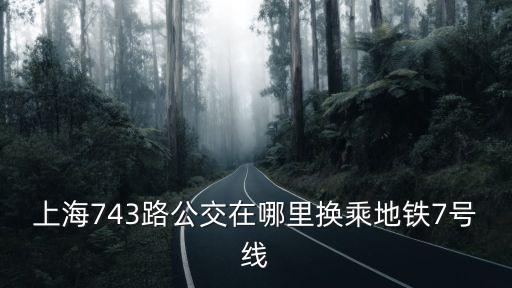 743，上海743路公交在哪里換乘地鐵7號(hào)線