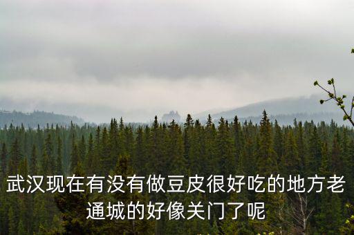 武漢現在有沒有做豆皮很好吃的地方老通城的好像關門了呢