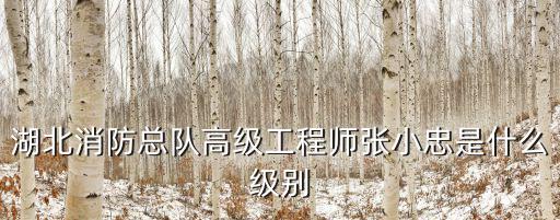 湖北消防總隊高級工程師張小忠是什么級別