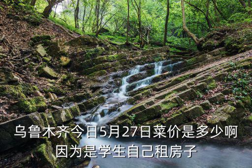天天查菜價，烏魯木齊今日5月27日菜價是多少啊因為是學生自己租房子