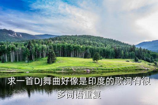 求一首DJ舞曲好像是印度的歌詞有很多詞語重復(fù)