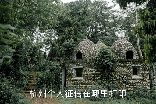 征信打印，打印征信報告可不可以只打印貸款信息不打印其他的