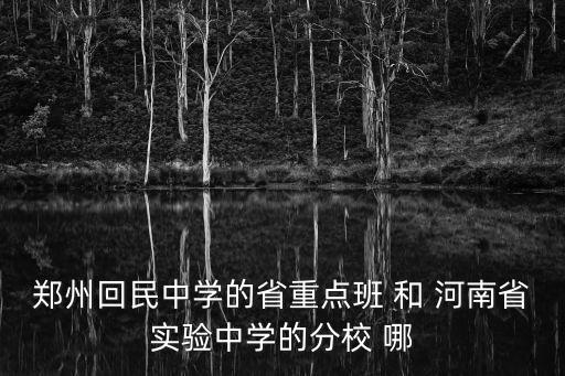 鄭州回民中學(xué)的省重點(diǎn)班 和 河南省實(shí)驗(yàn)中學(xué)的分校 哪