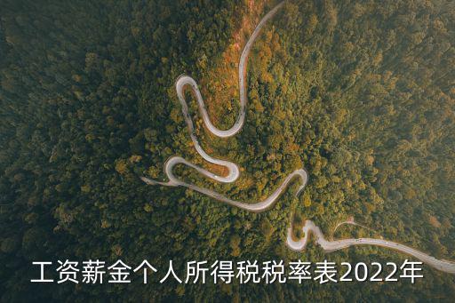 工資個人所得稅稅率表，工資薪金個人所得稅稅率表2022年