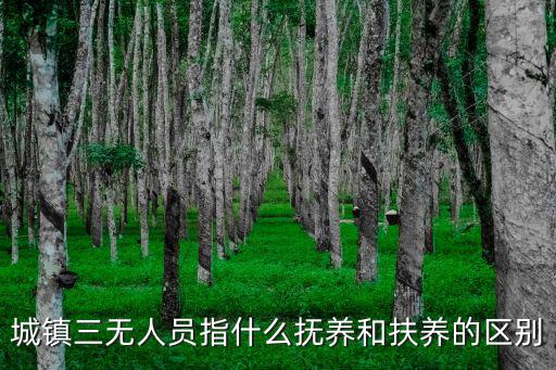 三無人員，什么叫三無人員被捉了會如何樣