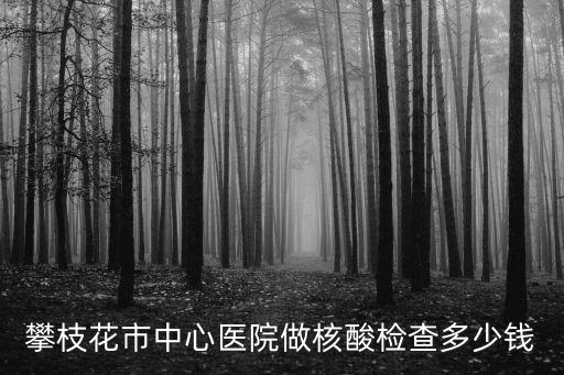 核酸檢查多少錢(qián)，湖州新冠核酸檢測(cè)多少錢(qián)