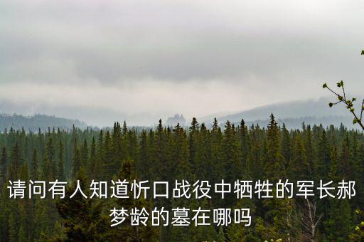請問有人知道忻口戰(zhàn)役中犧牲的軍長郝夢齡的墓在哪嗎