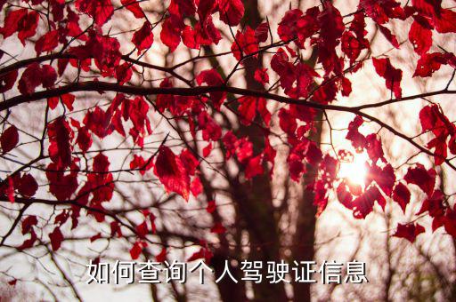 駕駛本查詢，怎樣查駕駛證信息查詢