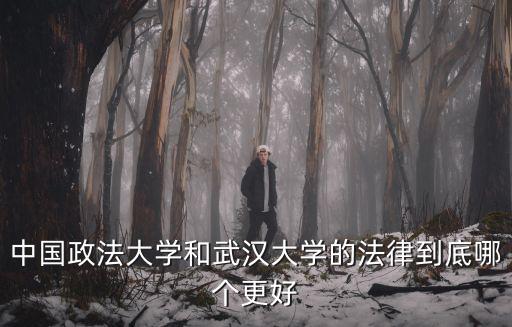 中國政法大學和武漢大學的法律到底哪個更好