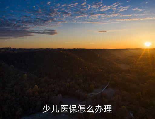少兒醫(yī)保怎么辦理