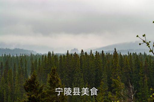寧陵縣美食