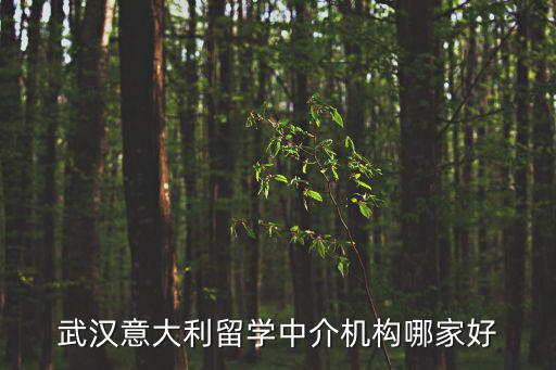 武漢留學移民，有人在武漢冠橋寰宇辦理過移民嗎后續有沒有問題公司靠譜嗎百度