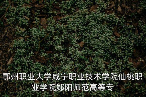 鄂州職業大學咸寧職業技術學院仙桃職業學院鄖陽師范高等專