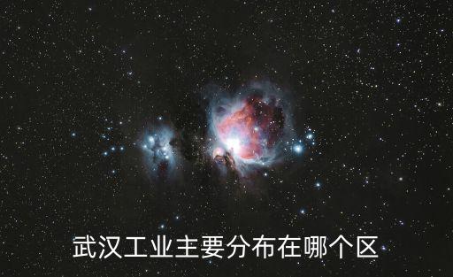 武漢工業主要分布在哪個區