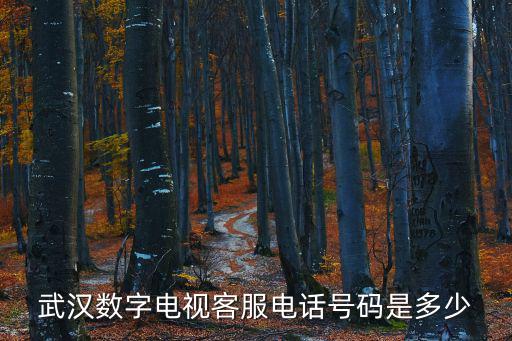 武漢數字電視客服電話號碼是多少