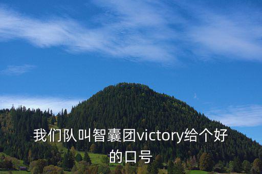 智慧團(tuán)建網(wǎng)，我們隊(duì)叫智囊團(tuán)victory給個(gè)好的口號(hào)