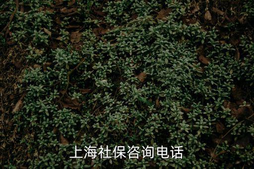 咨詢熱線，51客服中心熱線電話是什么