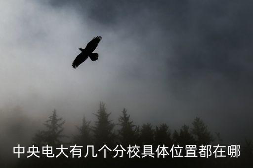 國家開放大學地址，中央電大有幾個分校具體位置都在哪