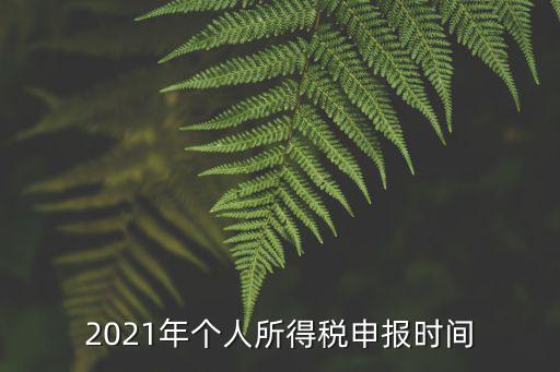 2021年個人所得稅申報時間