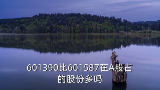 601390比601587在A股占的股份多嗎