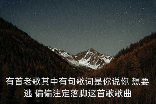 有首老歌其中有句歌詞是你說你 想要逃 偏偏注定落腳這首歌歌曲