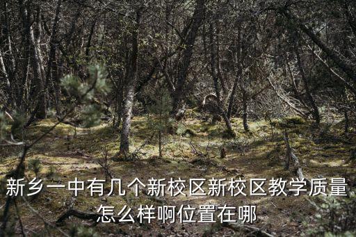 新鄉市一中東校區，新鄉一中東校區屬于哪個社區