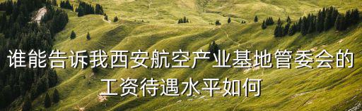 西安航天管委會，誰能告訴我西安航空產業基地管委會的工資待遇水平如何