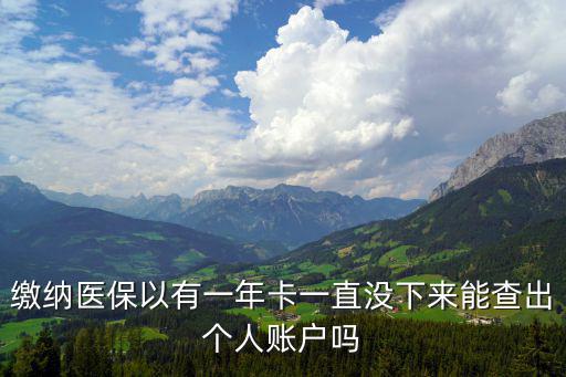 醫(yī)保查詢個人賬戶，武漢市醫(yī)保個人賬戶查詢在網(wǎng)上哪里可以查到