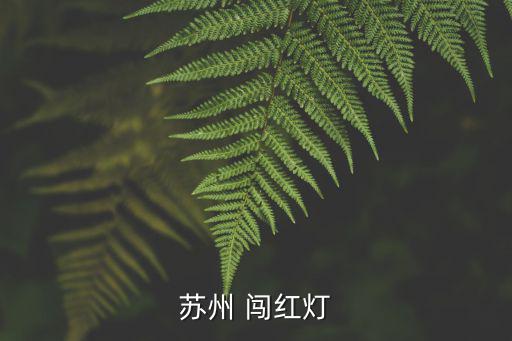蘇州安全教育平臺登錄入口，蘇州 闖紅燈