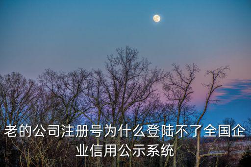 老的公司注冊(cè)號(hào)為什么登陸不了全國(guó)企業(yè)信用公示系統(tǒng)
