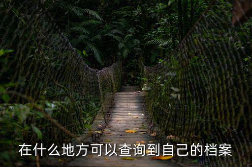 個人檔案怎么查詢，在什么地方可以查詢到自己的檔案