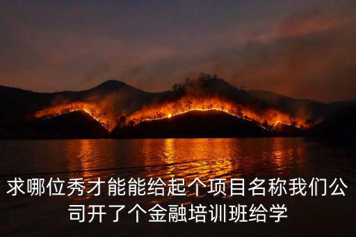 培訓(xùn)項(xiàng)目名稱，求哪位秀才能能給起個(gè)項(xiàng)目名稱我們公司開了個(gè)金融培訓(xùn)班給學(xué)