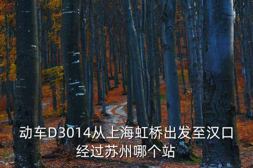 動車D3014從上海虹橋出發至漢口經過蘇州哪個站
