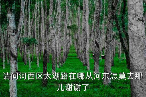 太湖路，請問河西區太湖路在哪從河東怎莫去那兒謝謝了