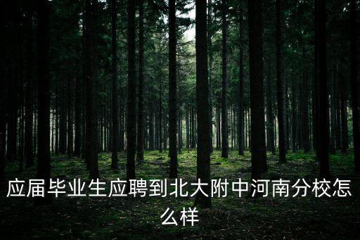 應(yīng)屆畢業(yè)生應(yīng)聘到北大附中河南分校怎么樣