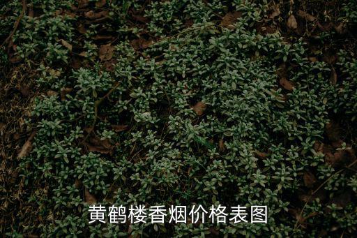 黃鶴樓香煙價格表圖