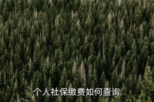 個人社保繳費如何查詢