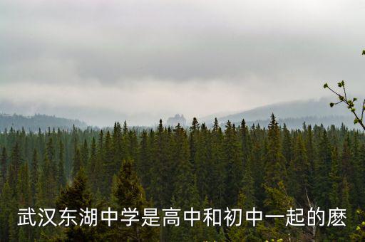 武漢東湖中學(xué)是高中和初中一起的麼