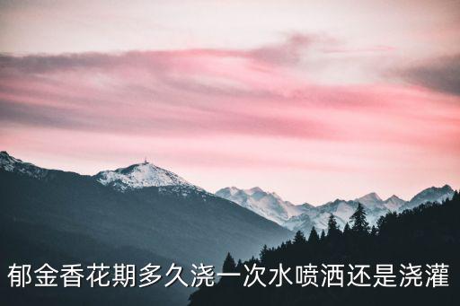 郁金香導航，郁金香花期多久澆一次水噴灑還是澆灌