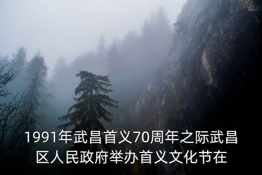 武昌區人民政府，1991年武昌首義70周年之際武昌區人民政府舉辦首義文化節在