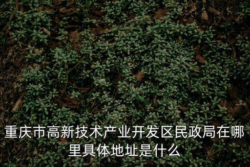 高新區民政局，請問濟寧高新區民政局具體位置和乘車路線謝謝
