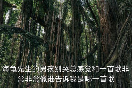海龜先生，海龜先生的男孩別哭總感覺和一首歌非常非常像誰告訴我是哪一首歌