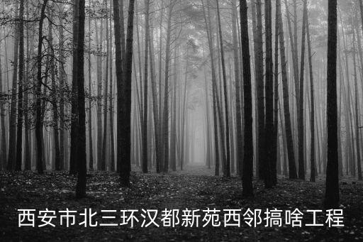 西安市北三環(huán)漢都新苑西鄰搞啥工程