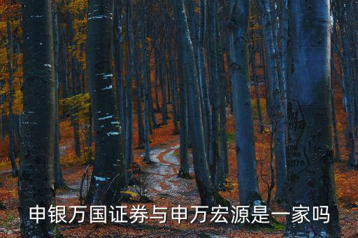 申銀萬國證券，申銀萬國 證券總部在哪里