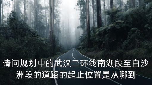 請問規劃中的武漢二環線南湖段至白沙洲段的道路的起止位置是從哪到