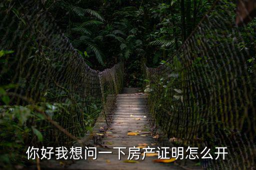 你好我想問一下房產證明怎么開
