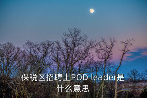 保稅區招聘上POD leader是什么意思