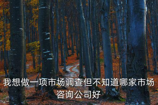 我想做一項市場調查但不知道哪家市場咨詢公司好