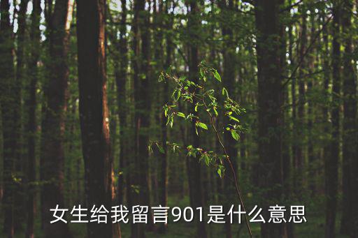 女生給我留言901是什么意思